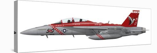 Illustration of an FA-18F Super Hornet Assigned to VFA-102-Stocktrek Images-Stretched Canvas