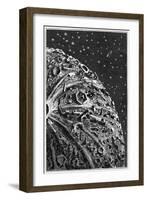 Illustration of around the Moon-Emile Bayard-Framed Art Print