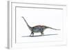 Illustration of Barapasaurus - Artwork-null-Framed Giclee Print