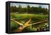 Illustration of Baseball Game-Bettmann-Framed Stretched Canvas