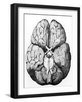 Illustration of Blood Supply To the Brain,C.Wren-Science Photo Library-Framed Photographic Print