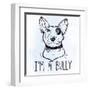 Illustration of Bull Terrier with Funny Slogan.-Katja Gerasimova-Framed Art Print