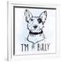 Illustration of Bull Terrier with Funny Slogan.-Katja Gerasimova-Framed Art Print