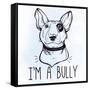 Illustration of Bull Terrier with Funny Slogan.-Katja Gerasimova-Framed Stretched Canvas