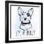 Illustration of Bull Terrier with Funny Slogan.-Katja Gerasimova-Framed Art Print