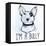 Illustration of Bull Terrier with Funny Slogan.-Katja Gerasimova-Framed Stretched Canvas