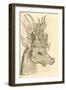 Illustration of Capreolus Polyceros from Aldrovandi's 'History of Monsters' , 1642-null-Framed Giclee Print