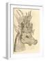 Illustration of Capreolus Polyceros from Aldrovandi's 'History of Monsters' , 1642-null-Framed Giclee Print