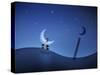 Illustration of Cartoon Characters Stealing the Moon-null-Stretched Canvas
