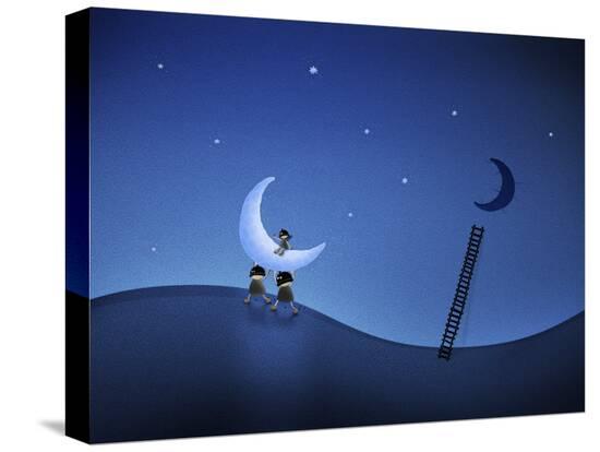Stretched Canvas Print, , large