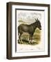 Illustration of Donkey-null-Framed Premium Giclee Print