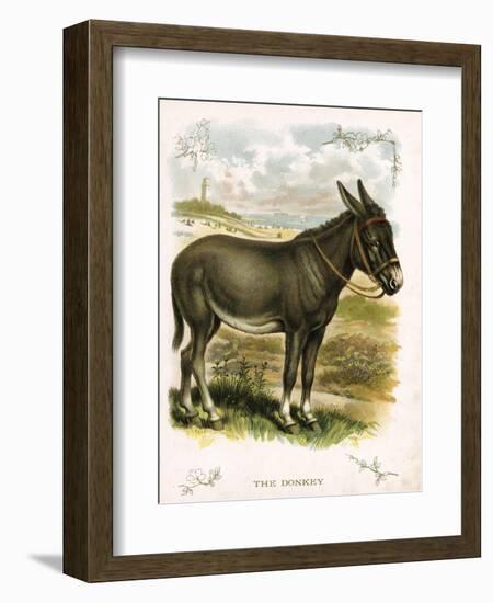 Illustration of Donkey-null-Framed Giclee Print