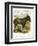 Illustration of Donkey-null-Framed Giclee Print