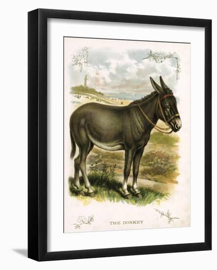 Illustration of Donkey-null-Framed Giclee Print