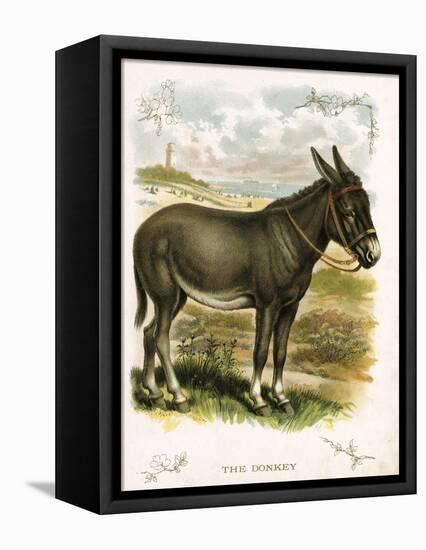 Illustration of Donkey-null-Framed Stretched Canvas