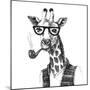 Illustration of Dressed up Giraffe Hipster-mart_m-Mounted Art Print