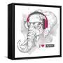 Illustration of Elephant Hipster Dressed up in T-Shirt, Pants and in the Glasses and Headphones. Ve-Sunny Whale-Framed Stretched Canvas
