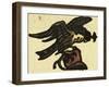 Illustration of English Tales Folk Tales and Ballads. a Hawk-null-Framed Giclee Print