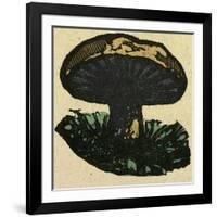 Illustration of English Tales Folk Tales and Ballads. a Mushroom-null-Framed Giclee Print