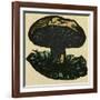 Illustration of English Tales Folk Tales and Ballads. a Mushroom-null-Framed Giclee Print