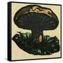 Illustration of English Tales Folk Tales and Ballads. a Mushroom-null-Framed Stretched Canvas