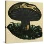 Illustration of English Tales Folk Tales and Ballads. a Mushroom-null-Stretched Canvas