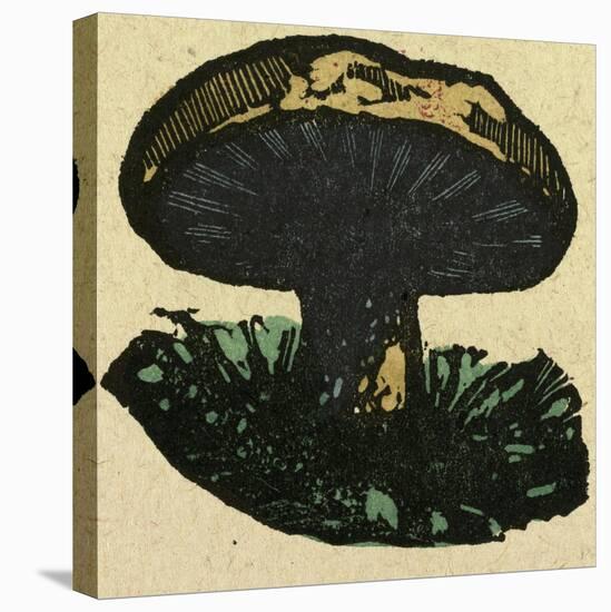 Illustration of English Tales Folk Tales and Ballads. a Mushroom-null-Stretched Canvas