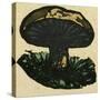 Illustration of English Tales Folk Tales and Ballads. a Mushroom-null-Stretched Canvas