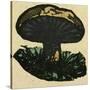 Illustration of English Tales Folk Tales and Ballads. a Mushroom-null-Stretched Canvas