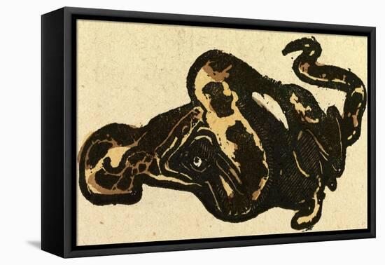 Illustration of English Tales Folk Tales and Ballads. a Snake Eating a Rabbit-null-Framed Stretched Canvas