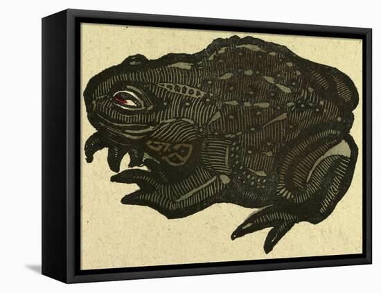 Illustration of English Tales Folk Tales and Ballads, a Toad-null-Framed Stretched Canvas
