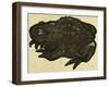 Illustration of English Tales Folk Tales and Ballads, a Toad-null-Framed Premium Giclee Print