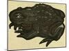 Illustration of English Tales Folk Tales and Ballads, a Toad-null-Mounted Premium Giclee Print