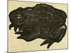 Illustration of English Tales Folk Tales and Ballads, a Toad-null-Mounted Giclee Print