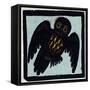 Illustration of English Tales Folk Tales and Ballads, an Owl-null-Framed Stretched Canvas