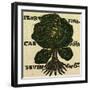 Illustration of English Tales Folk Tales and Ballads. Cabbage-null-Framed Giclee Print