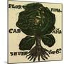 Illustration of English Tales Folk Tales and Ballads. Cabbage-null-Mounted Giclee Print