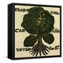 Illustration of English Tales Folk Tales and Ballads. Cabbage-null-Framed Stretched Canvas