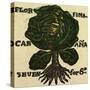 Illustration of English Tales Folk Tales and Ballads. Cabbage-null-Stretched Canvas