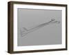 Illustration of Forceps-null-Framed Art Print