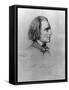 Illustration of Franz Liszt, Hungarian Composer and Pianist-null-Framed Stretched Canvas