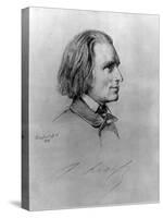 Illustration of Franz Liszt, Hungarian Composer and Pianist-null-Stretched Canvas