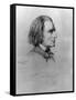 Illustration of Franz Liszt, Hungarian Composer and Pianist-null-Framed Stretched Canvas