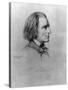 Illustration of Franz Liszt, Hungarian Composer and Pianist-null-Stretched Canvas