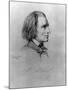 Illustration of Franz Liszt, Hungarian Composer and Pianist-null-Mounted Photographic Print