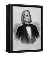 Illustration of Franz Liszt, Hungarian Composer and Pianist-null-Framed Stretched Canvas