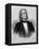 Illustration of Franz Liszt, Hungarian Composer and Pianist-null-Framed Stretched Canvas
