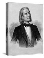 Illustration of Franz Liszt, Hungarian Composer and Pianist-null-Stretched Canvas