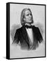 Illustration of Franz Liszt, Hungarian Composer and Pianist-null-Framed Stretched Canvas