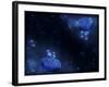 Illustration of Humans and Aliens in Outer Space-null-Framed Photographic Print